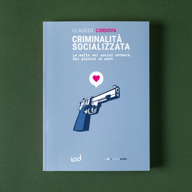CRIMINALITÀ SOCIALIZZATA
